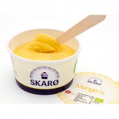 Mango is 100 ml. 4 stk. 100.00 kr.